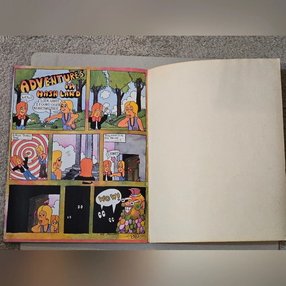 Vintage High Tide 'Metamorphasis' By  Hermann Hesse - Picture 7 of 13